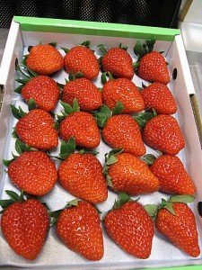 这一盒有20颗         医院五个人 所以每个人都分到了4颗草莓 大家